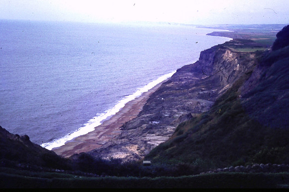 The Cliffs At Black Gang Chine Isle Of Wight 1969