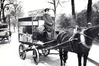 A Woman Delivery Driver