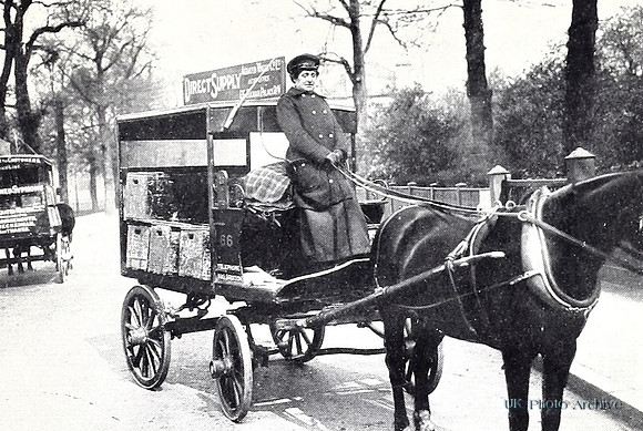 A Woman Delivery Driver