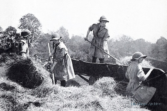 Members Of The Womans Forage Corps
