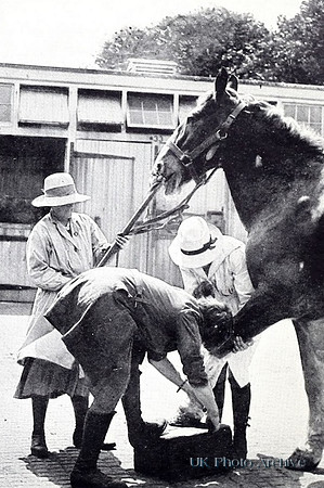 Women Veterinary Surgeons At Work