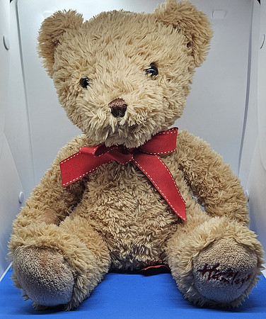 Hamleys Teddy Bear With A Red Bow