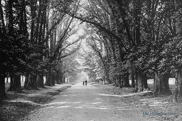 The Avenue Hatfield Park 1890s