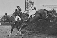 The Grand National