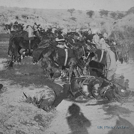 Taking Artillery Horses To Water On The Great March To Pretoria 1900