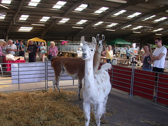 Ardingly Smallholders Fair 2017