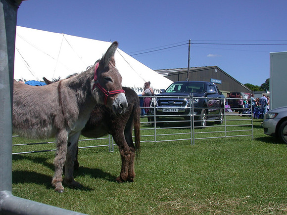 Ardingly Smallholders Fair 2017