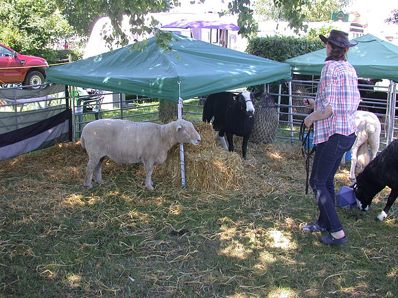 Ardingly Smallholders Fair 2017