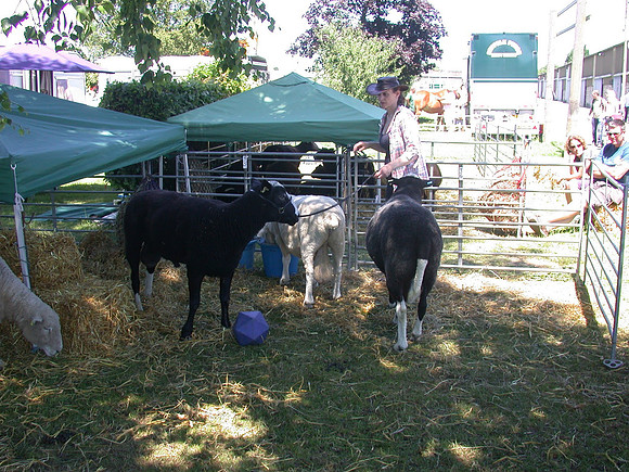 Ardingly Smallholders Fair 2017