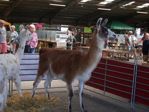 Ardingly Smallholders Fair 2017