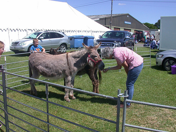 Ardingly Smallholders Fair 2017