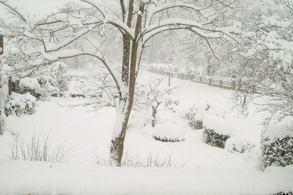 Snow Looking Over Ashtead Park From West Lodge 2nd Feb 2009