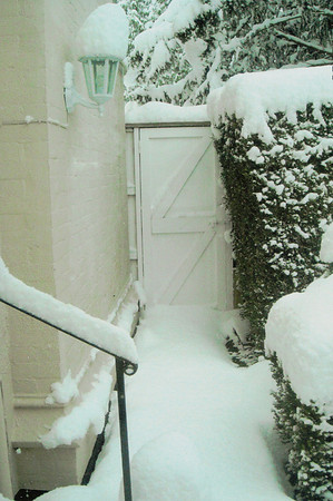 Snow Back Garden West Lodge Ashtead Park 2nd Feb 2009 3