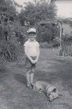 Little Boy In Garden With Dog c.1950s