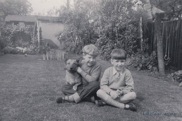 Two Young Boys With A Dog In Back Garden c.1950s