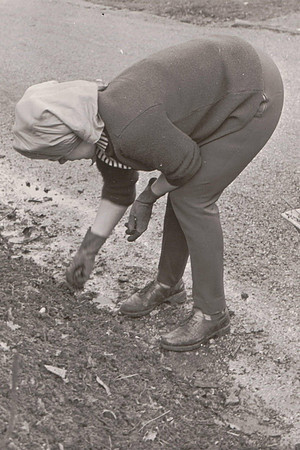 Woman Gardening 1950s