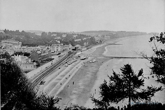 General View Of Dawlish 1890s
