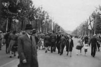 The Mall Decorated For The Coronation 1953
