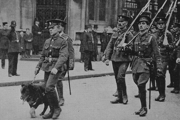 The 1st Royal Fusiliers With Their Mascot 1914