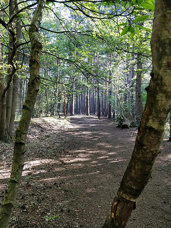 Ottershaw 7th May 2018