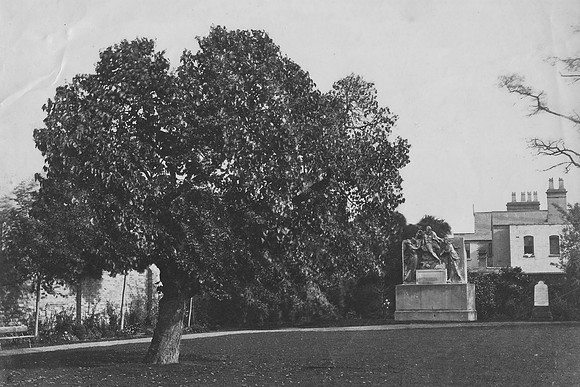The Mulberry Tree New Place Garden 1870s