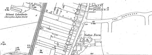 Sutton 1913 Map The Downsway Area