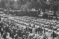 A Sheep Sale At Norwich Cattle Market 1930s