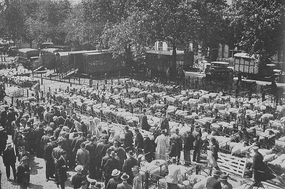A Sheep Sale At Norwich Cattle Market 1930s