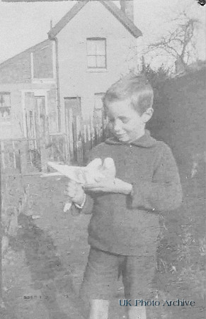 A Little Boy With A Pigeon 1930s