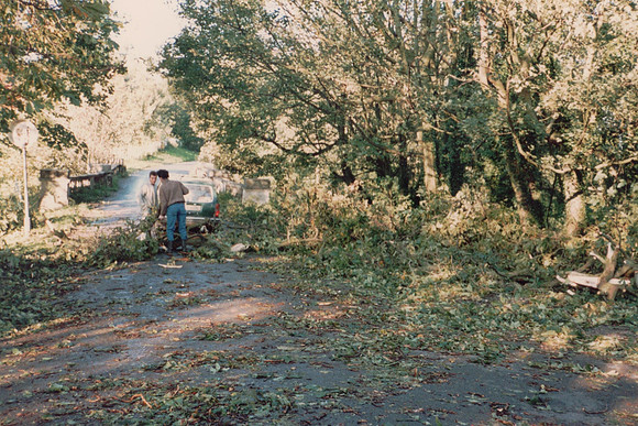 Clearing Up In Ashtead Park After The Great Storm Of 1987