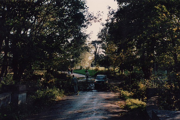 The Aftermath Of The Great Storm 1987 In Ashtead Park
