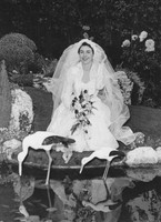 Wedding Of Gladys Brenchley And Geoffrey Brazill 3
