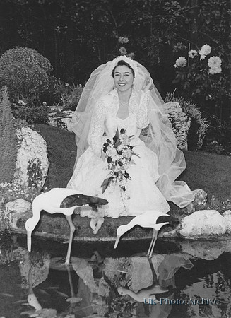 Wedding Of Gladys Brenchley And Geoffrey Brazill 3