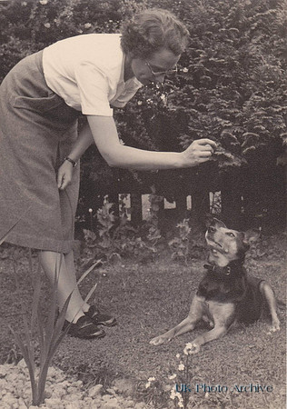 A Woman Traing A Dog 1950s