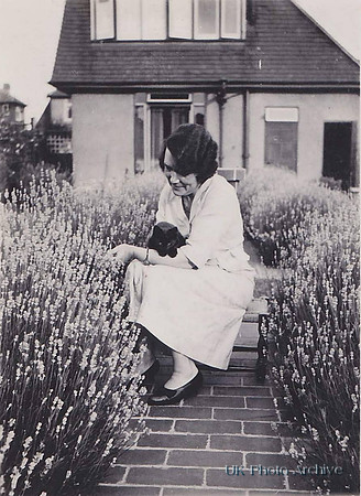 With A Little Black Cat Amoung The Lavender