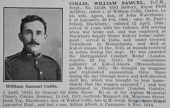 Collis W S Sergt DCM 34528 Royal Field Artillery Obit