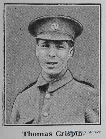 Crispin T Pte 18250 13th Essex Regiment
