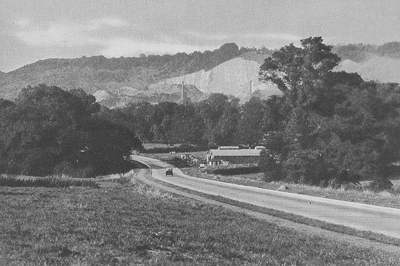 The North Downs From Reigate Common