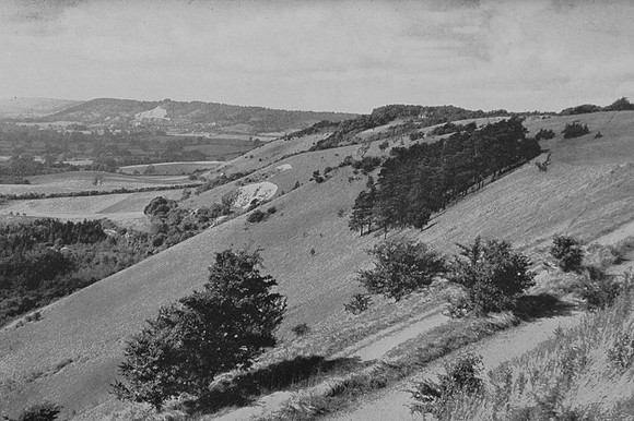 The North Downs At Colley Hill Surrey 1930s
