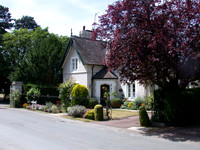 Surrey