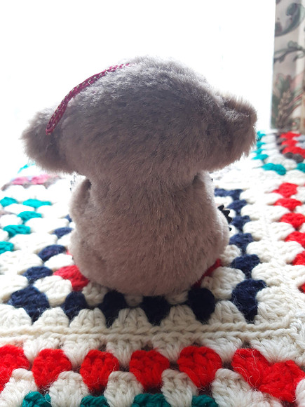 Vintage Koala Bear