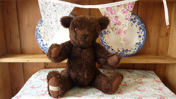 1980s Jointed Casbear Teddy Bear