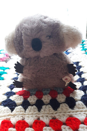 Vintage Koala Bear