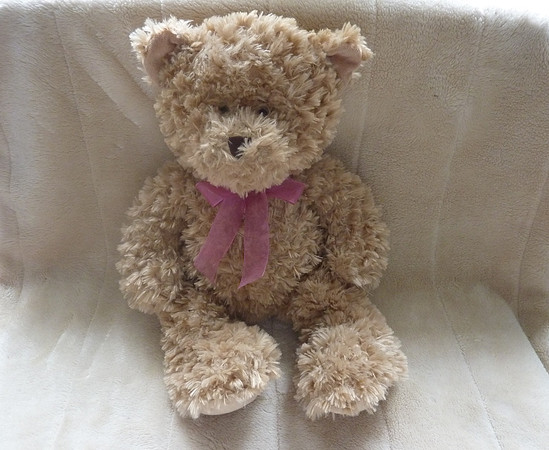 Large 18 Inch Sainsbury's Plush Teddy Bear