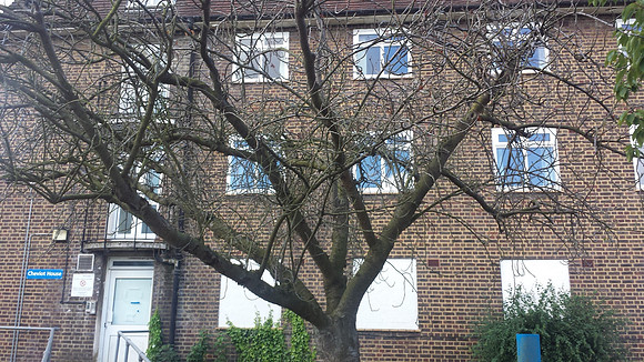 Sutton Hospital July 2015 Photo 12