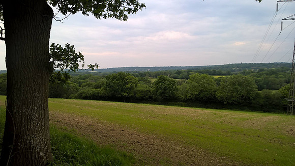 Rotherfield