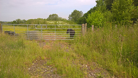 Rotherfield