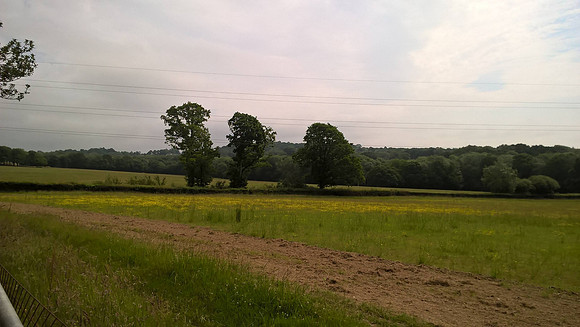 Rotherfield