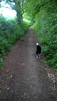 Rotherfield