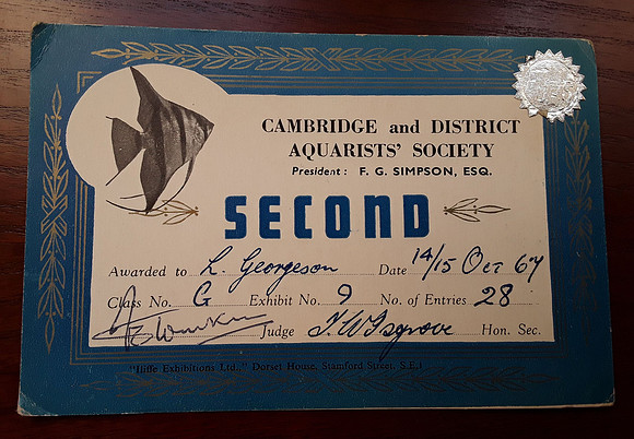 Cambridge And District Aquarists Society Certificate To L.Georgeson